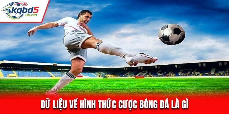 Dữ liệu về hình thức cược bóng đá là gì