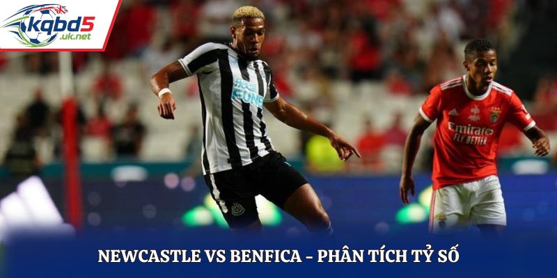 Soi kèo Newcastle vs Benfica - thống kê kết quả đối đầu