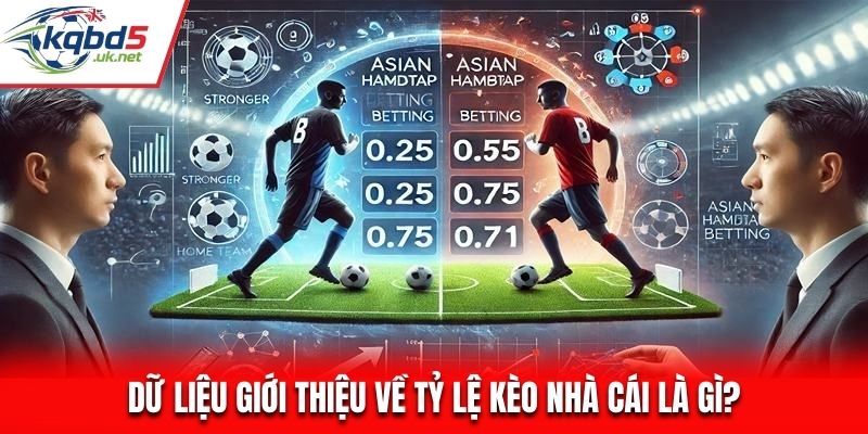 Dữ liệu giới thiệu về tỷ lệ kèo nhà cái là gì?